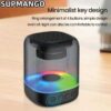 Wireless Digital Speaker E-3052